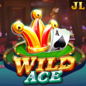 Wild Ace Juan Bingo slot